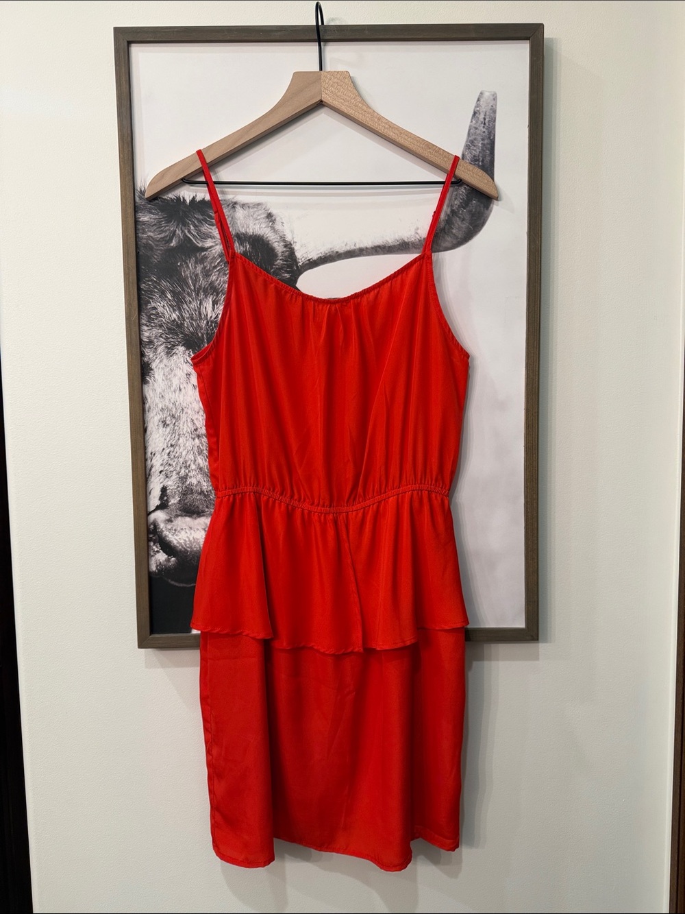 🍊🐊 Collective Concepts Orange Dress